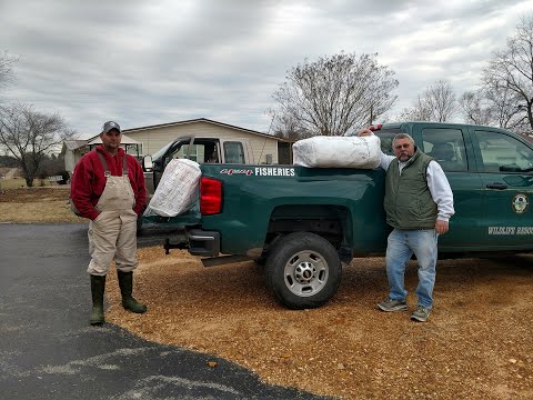 TN WildCast 115 - Asian Carp Harvest Incentive Program (ACHIP)