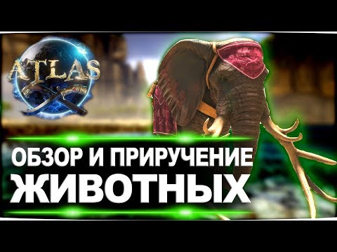 Все о приручении и краткий обзор всех животных в игре Atlas (Атлас)