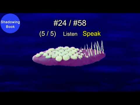 [ShadowingBook] What you can do with an extra jaw | TED-Ed