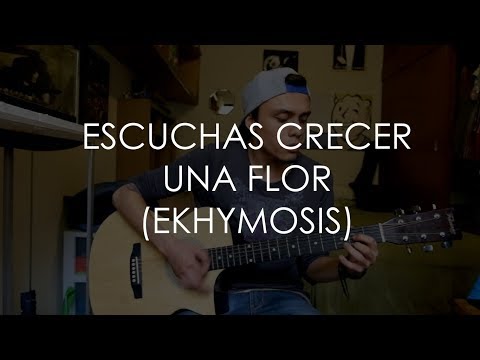 ESCUCHAS CRECER UNA FLOR(EKHYMOSIS)-COVER