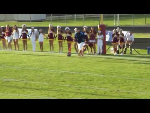 Walsh Jesuit HS Cheerleader Beats World Record
