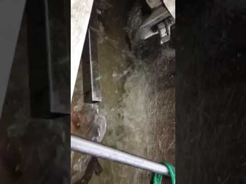 Populare Lacul Padureni-Ciurila