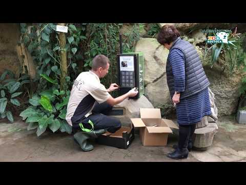 Zoo Rostock | Handy-Sammelbox im Darwineum