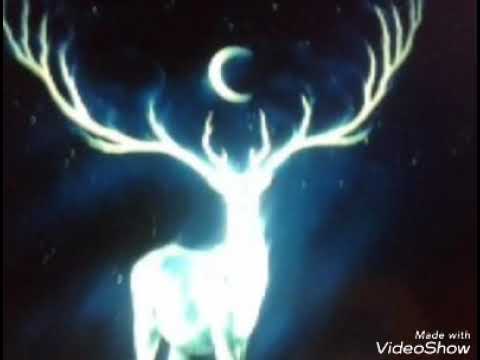 Клип, ласково за плечи