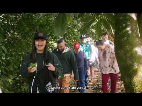 Ally Coffee | Champ Trip 2022 | Emi Fukahori - 2018 World Brewers Cup Champion