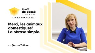 "Merci, les animaux domestiques! La phrase simple"