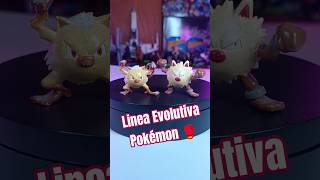 Pokémon Tomy 🇧🇴| Linea Evolutiva #pokemon #pokemonchannel #pokemoncommunity #colectavo