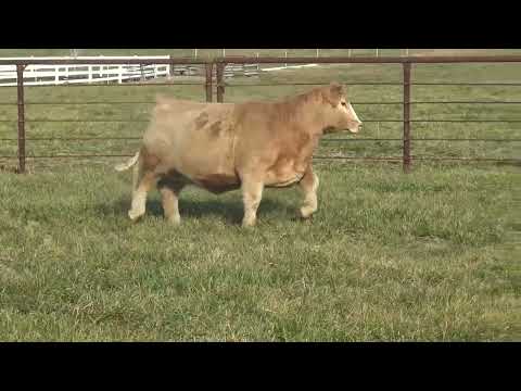 2026 Western Exposure Lot #102