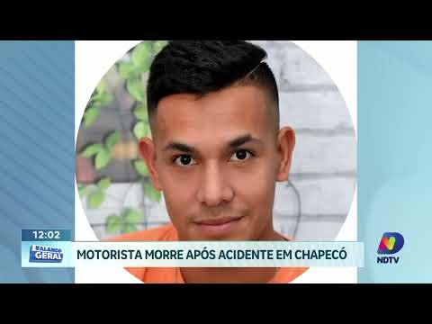 Gato-do-mato pequeno morre após ser encontrado na SC-157 em Quilombo