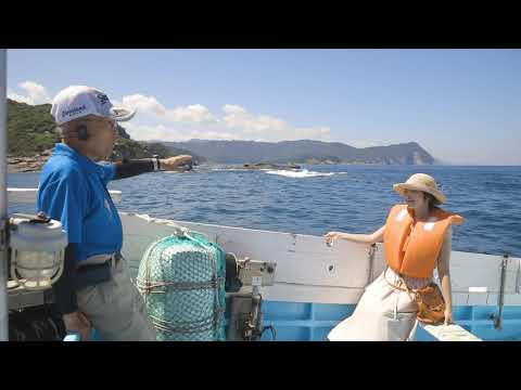 やまぐち映像図鑑 NO.177 須佐湾遊覧船［萩市］ | The Ship of Sightseening in The Susa Bay [ Hagi-city ]