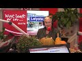 Wat leeft er in Lelystad?