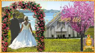 The Wedding with lyrics Julie Rogers (Cover by Paladon) Male version