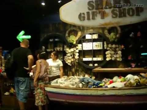 New Antalya Aquarium - Turkey Новый Анталийский аквариум - Турция