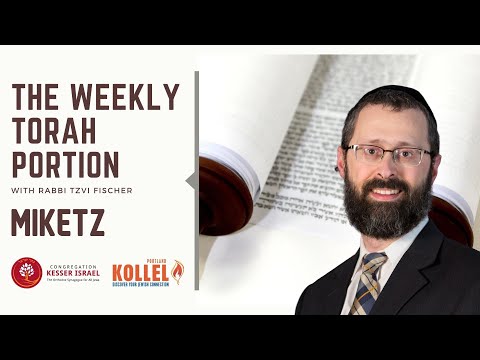 Weekly Torah Portion with Rabbi Tzvi Fischer -  Parshat Miketz