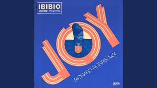 Joy (Richard Norris Stripped Mix)