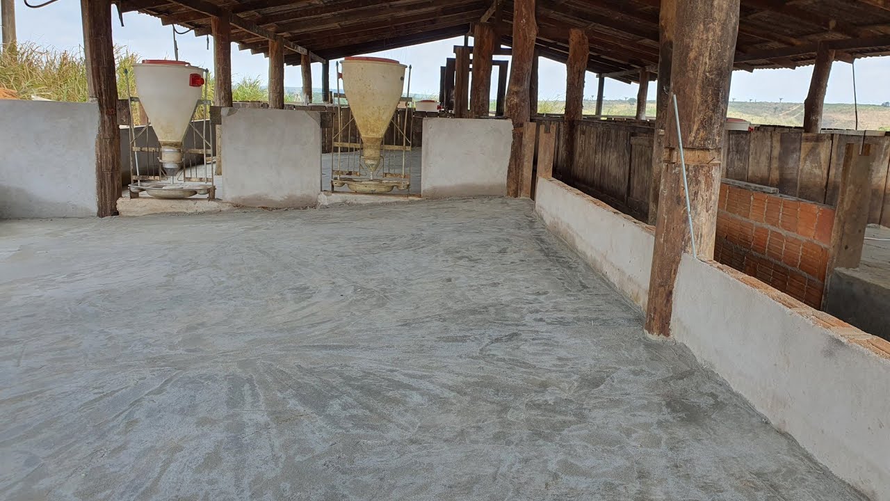 Vai construir sua Granja de Suínos? Assista esse vídeo antes.