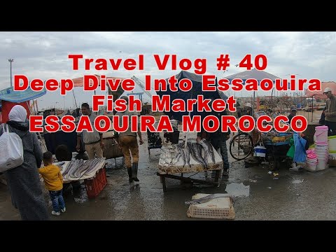Deep Dive Into Essaouira Fish Market| ESSAOUIRA MOROCCO