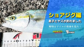 【ショアジグ】息子とヤズを狙いに行ったら釣れました！