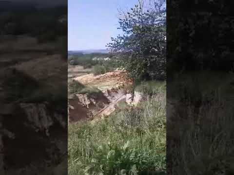 Żołna sensacja Opolszczyzny! Polska