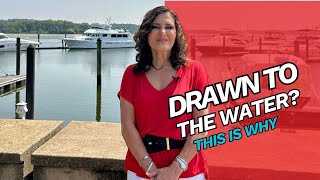 video-image