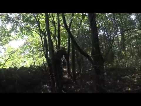 Domination at Dalbybanan 29/8-15 (APS ASR 114)