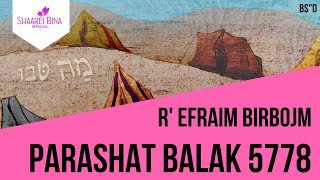 Parashá Balak 5778