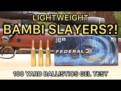 INSANE PERFORMANCE!!! 243 Winchester Federal Fusion 95gr PSP Ammo Test