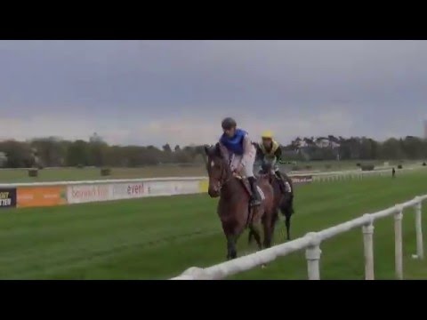 Impressionen Galopprennbahn Köln Weidenpesch | Familienrenntag [17.04.2016]