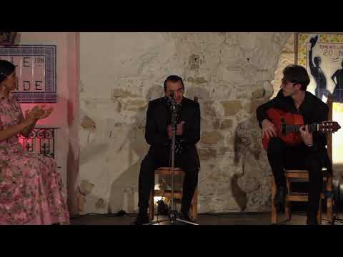 Puro Flamenco Collectif extrait "tangos"