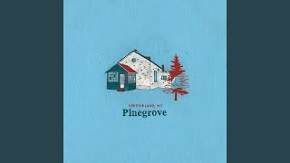 Pinegrove - Morningtime (Amperland video