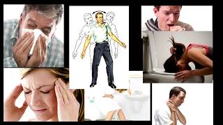 TOP 10 VENENOS MÁS LETALES DEL MUNDO