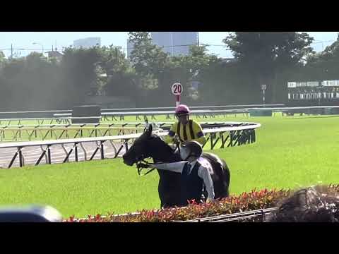 【2022/5/22 オークス】スターズオンアース クリストフ ルメール ウイニングラン