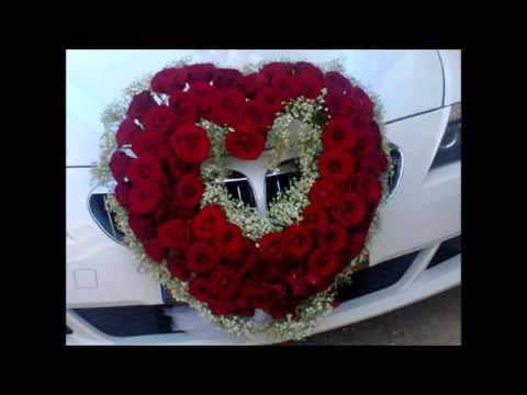 Kita Caraoshi Nusja Me Baban Ne Valle Kolazh live