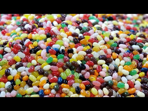 How Jelly Beans are Made at the Jelly Belly Factory | Bite Size