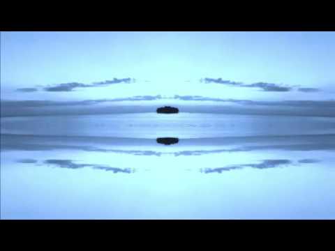 ZC014LP   Nocturnal Humanoid by 1NC1N   The Butterfly Effect LP   Zodiak Commune Records