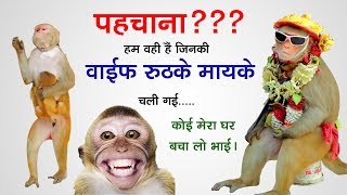 Mere Pyare Sai Ram song artwork