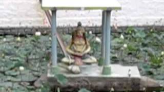 Ardagiri_lotus pond.flv