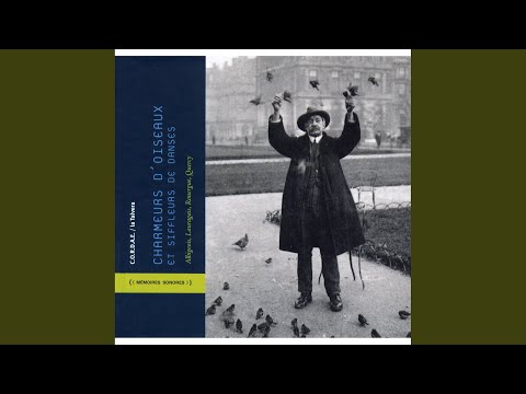 download lagu mp3 mp4 Grailes, download lagu Grailes gratis, unduh video klip Grailes