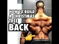 How To Build A Christmas Tree Back