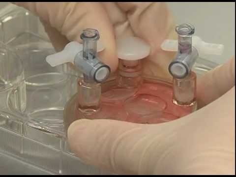 3D Cell Culture - Human Trophoblast Culture in the Rotary Cell Culture System (RCCS) Video