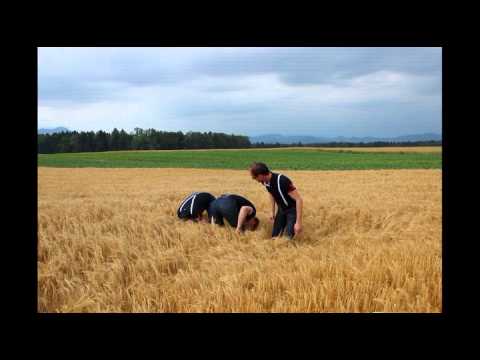 HOZENTREGARJI - VONJ POLETJA