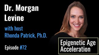 Morgan Levine: The epigenome is the operating system that controls which genes are expressed