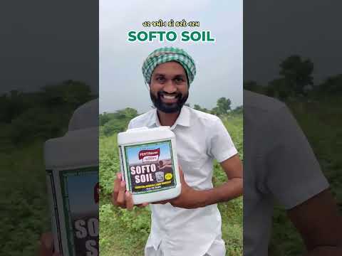 Seven Agro Exim Agriculture