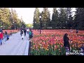 أزهار و مناضر خلابة بحديقة بمونتريال/la beauté du jardin botanique à Montréal mp3
