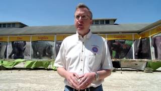 Interview with Stephen Payne of Ringling Brothers (Feld)