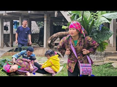 Phuc Ha Returns Home Exhausted – Grandpa’s Family Faces a Painful Truth