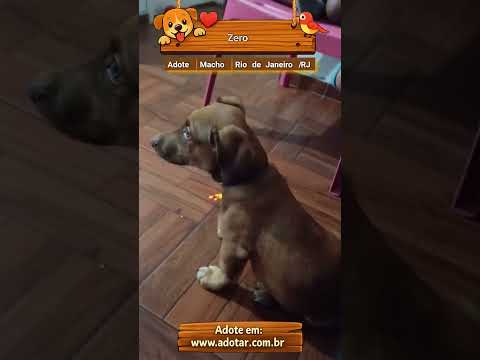 Vídeo de Zero