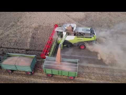 Getreideernte 2020 - Highlights der ernte 2020 - MB TRAC 1500 - CLAAS LEXION 770 - FENDT 824/820