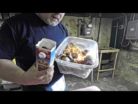 Once again all worm bags & bins fed after 8 days - vermicomposting with VermiBags VermiBag