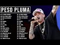 Peso Pluma 2024 Mix Peso Pluma 2024 MEJORES CANCIONES 2024